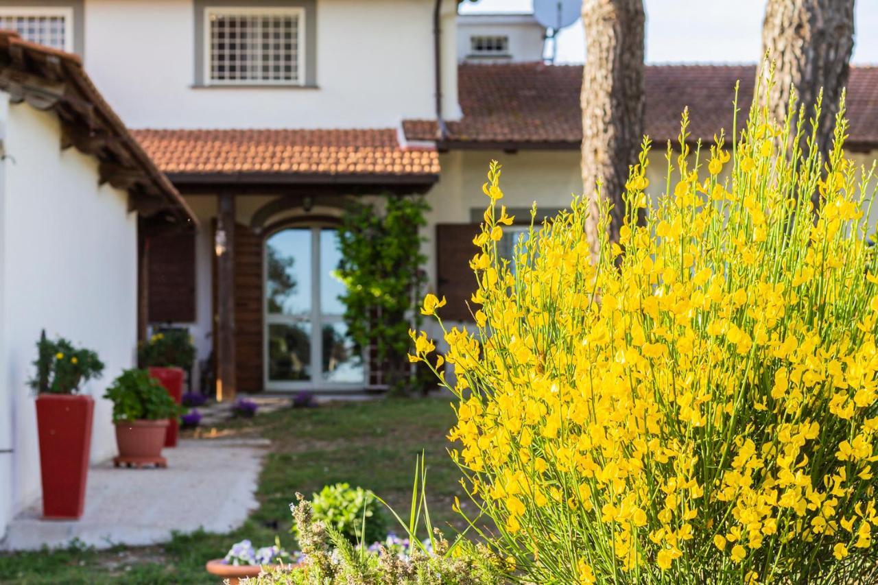 Casale Le Brecce B&B Otricoli Екстер'єр фото